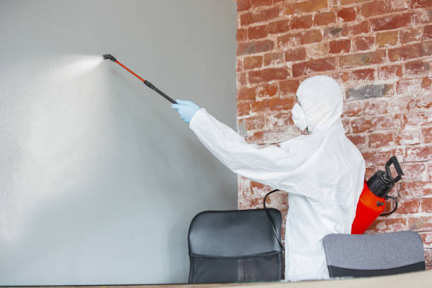 Best Comprehensive Air Testing for Mold Contaminants  in Youngtown, AZ