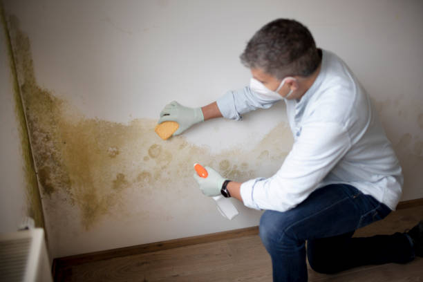 Best Asbestos and Lead Testing During Mold Inspection  in Youngtown, AZ