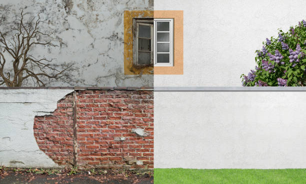Best Black Mold Removal  in Youngtown, AZ