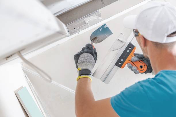 Best Emergency Mold Remediation  in Youngtown, AZ